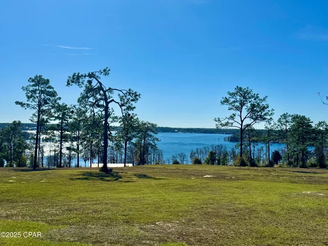 $35,000 | 0 Alene Drive, Alford, FL 32420