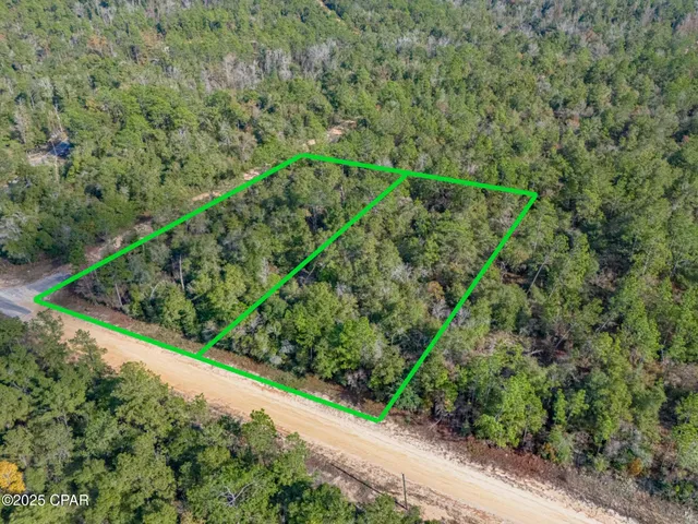 $35,000 | 0 Alene Drive, Alford, FL 32420