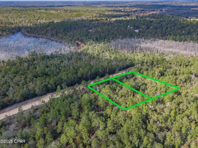 $35,000 | 0 Alene Drive, Alford, FL 32420