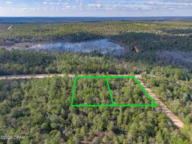 $35,000 | 0 Alene Drive, Alford, FL 32420