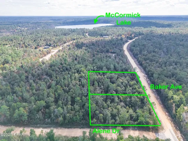 $35,000 | 0 Alene Drive, Alford, FL 32420