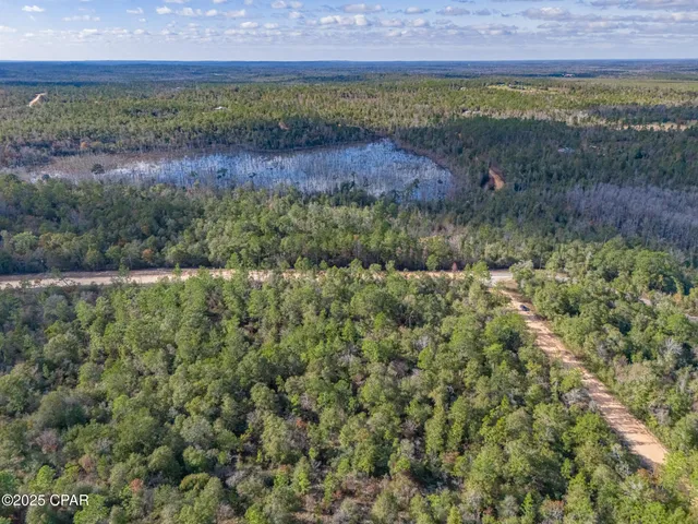 $35,000 | 0 Alene Drive, Alford, FL 32420