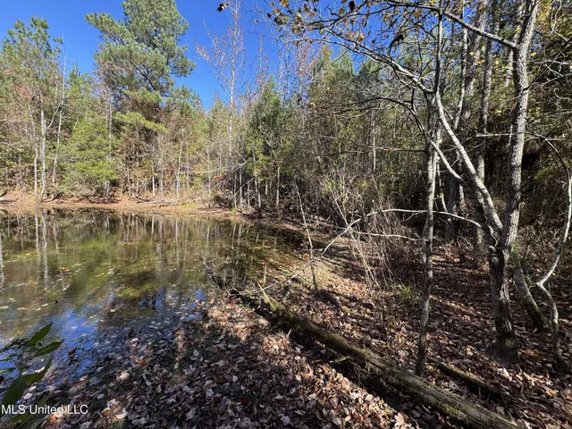 $324,300 | 0 Highway 16 West, De Kalb, MS 39328