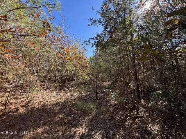 $324,300 | 0 Highway 16 West, De Kalb, MS 39328