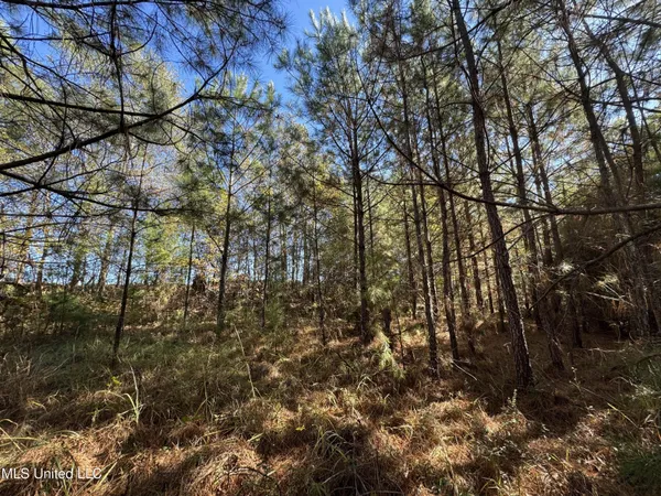 $324,300 | 0 Highway 16 West, De Kalb, MS 39328