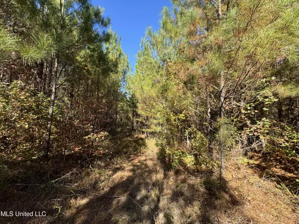 $324,300 | 0 Highway 16 West, De Kalb, MS 39328