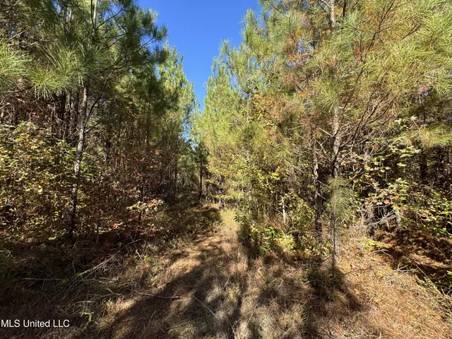 $324,300 | 0 Highway 16 West, De Kalb, MS 39328