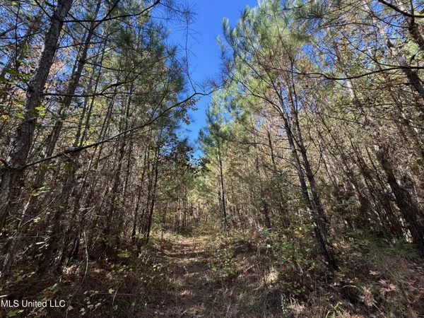 $324,300 | 0 Highway 16 West, De Kalb, MS 39328