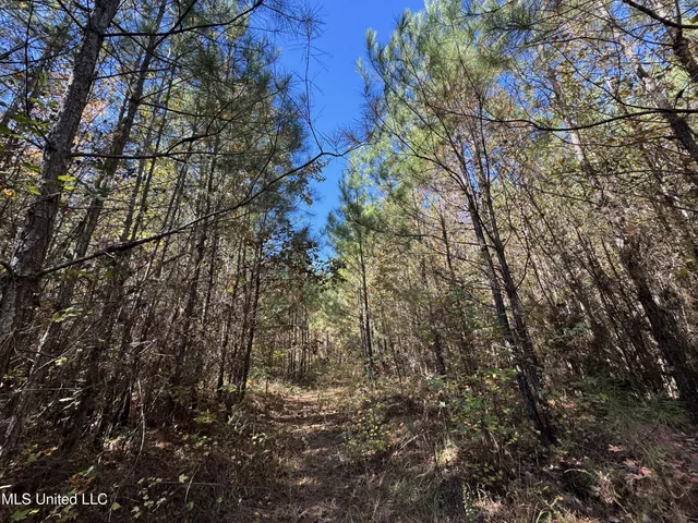 $324,300 | 0 Highway 16 West, De Kalb, MS 39328