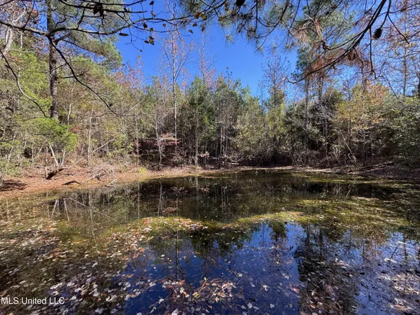 $324,300 | 0 Highway 16 West, De Kalb, MS 39328