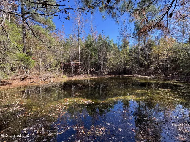 $324,300 | 0 Highway 16 West, De Kalb, MS 39328