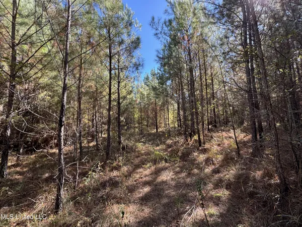 $324,300 | 0 Highway 16 West, De Kalb, MS 39328