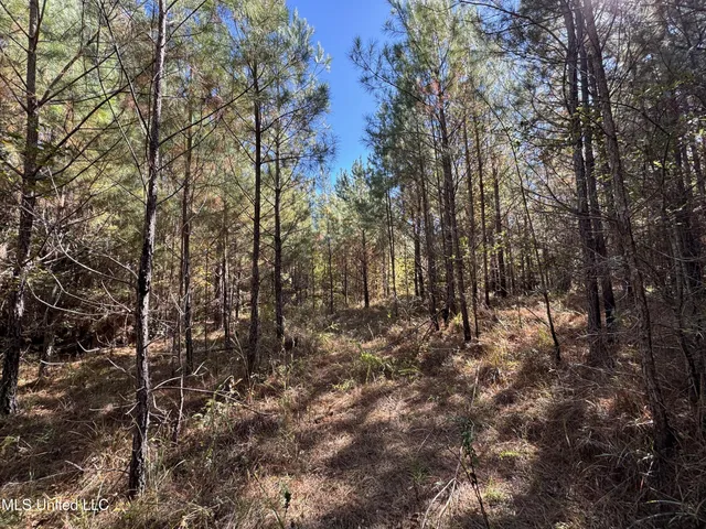 $324,300 | 0 Highway 16 West, De Kalb, MS 39328