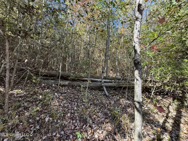 $324,300 | 0 Highway 16 West, De Kalb, MS 39328