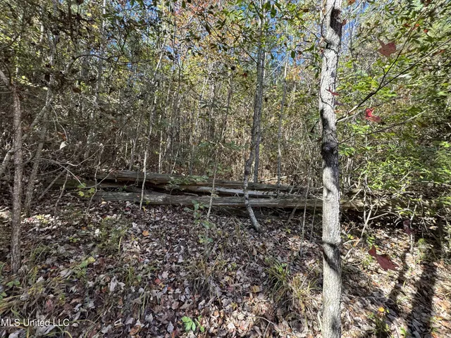 $324,300 | 0 Highway 16 West, De Kalb, MS 39328