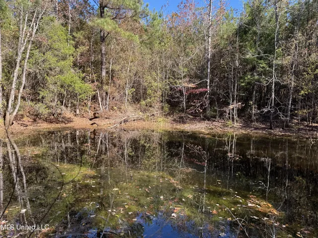 $324,300 | 0 Highway 16 West, De Kalb, MS 39328