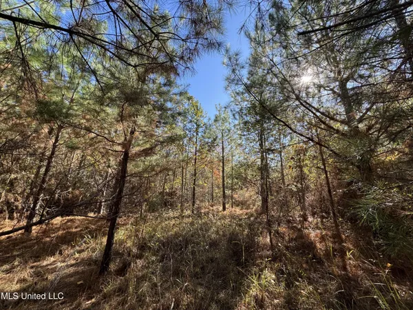 $324,300 | 0 Highway 16 West, De Kalb, MS 39328