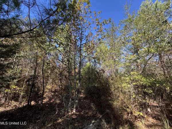 $324,300 | 0 Highway 16 West, De Kalb, MS 39328