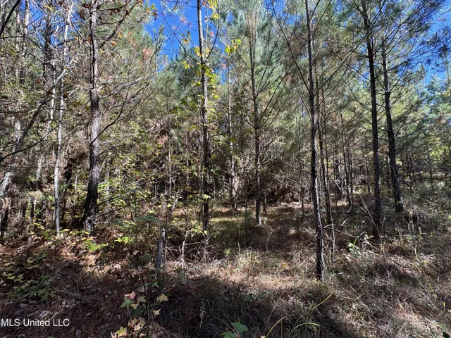 $324,300 | 0 Highway 16 West, De Kalb, MS 39328