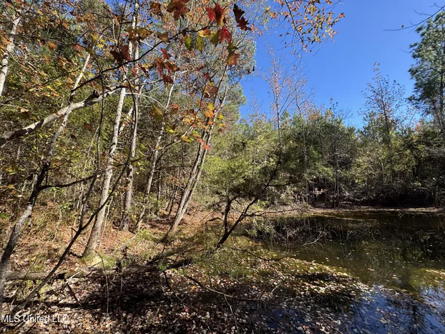 $324,300 | 0 Highway 16 West, De Kalb, MS 39328