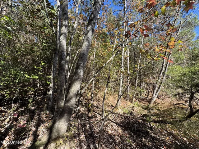 $324,300 | 0 Highway 16 West, De Kalb, MS 39328