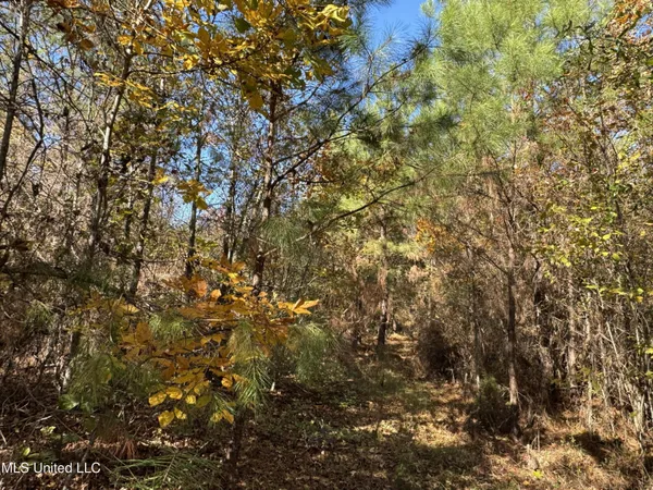 $324,300 | 0 Highway 16 West, De Kalb, MS 39328