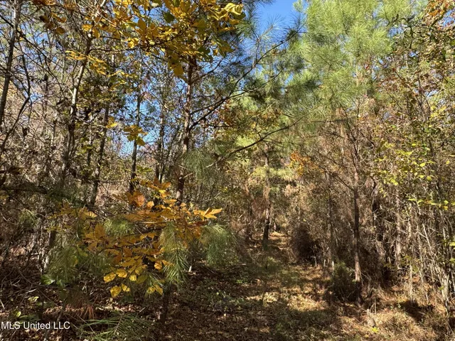 $324,300 | 0 Highway 16 West, De Kalb, MS 39328