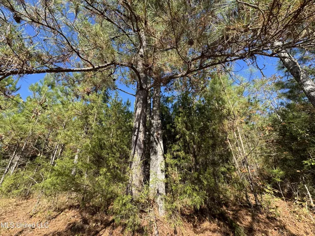 $324,300 | 0 Highway 16 West, De Kalb, MS 39328