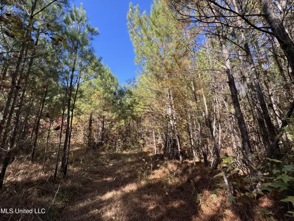 $324,300 | 0 Highway 16 West, De Kalb, MS 39328