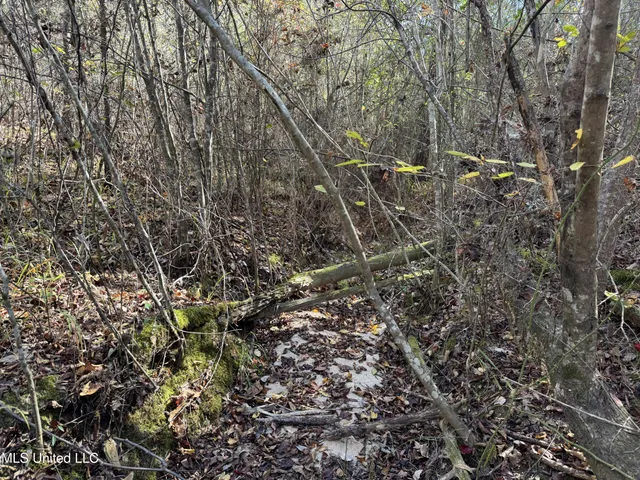 $324,300 | 0 Highway 16 West, De Kalb, MS 39328