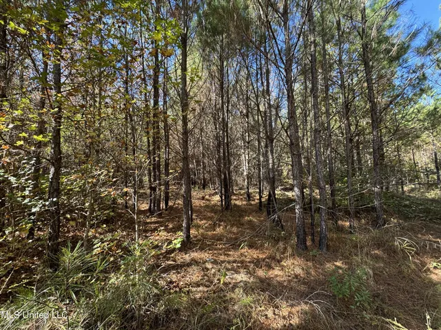 $324,300 | 0 Highway 16 West, De Kalb, MS 39328
