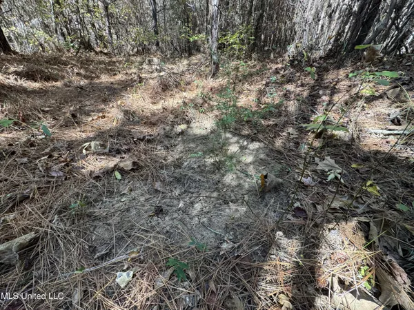 $324,300 | 0 Highway 16 West, De Kalb, MS 39328