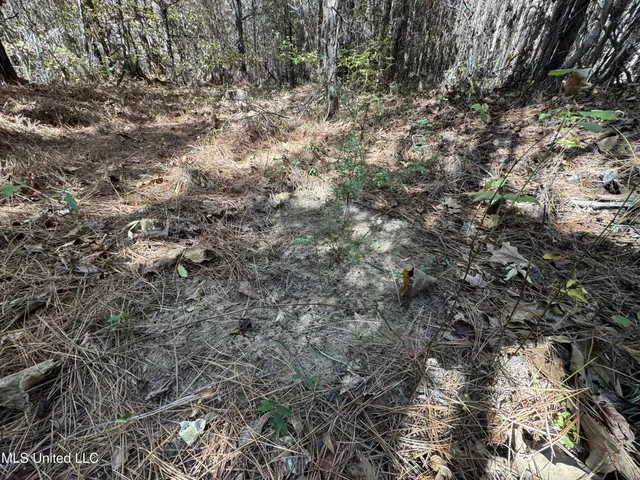 $324,300 | 0 Highway 16 West, De Kalb, MS 39328