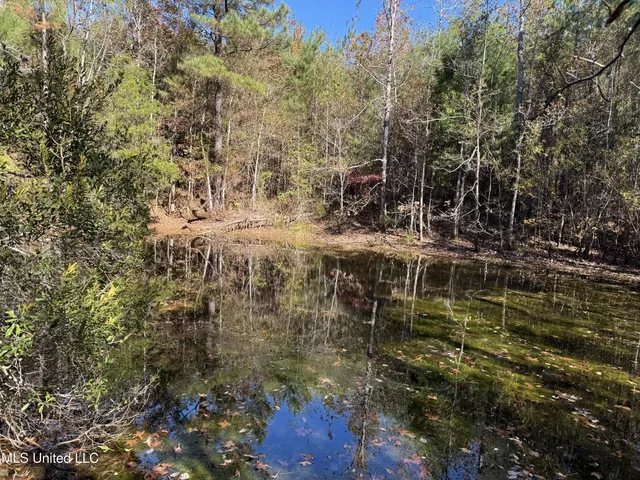 $324,300 | 0 Highway 16 West, De Kalb, MS 39328