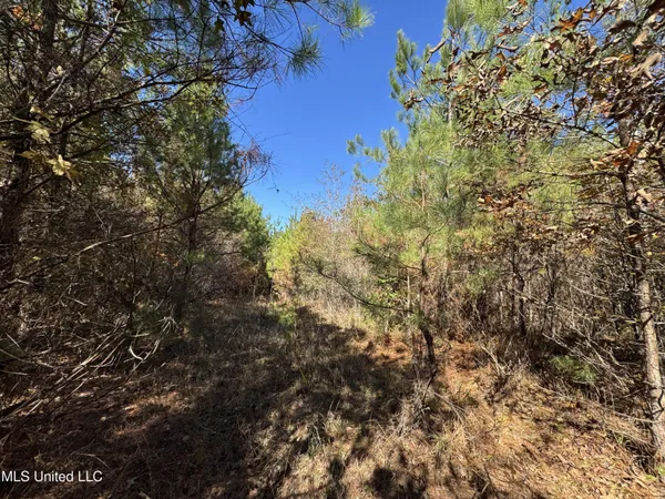 $324,300 | 0 Highway 16 West, De Kalb, MS 39328