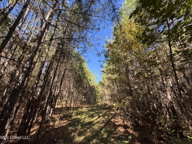 $324,300 | 0 Highway 16 West, De Kalb, MS 39328