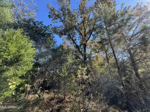 $324,300 | 0 Highway 16 West, De Kalb, MS 39328