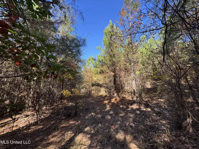 $324,300 | 0 Highway 16 West, De Kalb, MS 39328