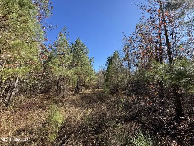 $324,300 | 0 Highway 16 West, De Kalb, MS 39328