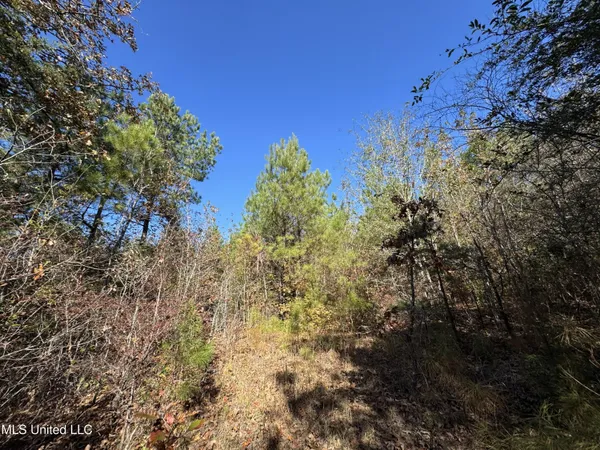 $324,300 | 0 Highway 16 West, De Kalb, MS 39328