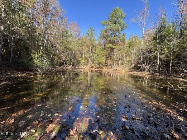 $324,300 | 0 Highway 16 West, De Kalb, MS 39328