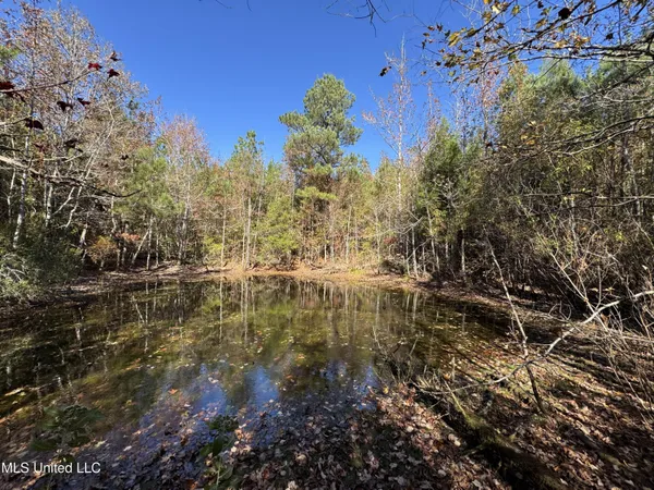 $324,300 | 0 Highway 16 West, De Kalb, MS 39328