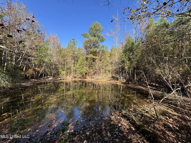 $324,300 | 0 Highway 16 West, De Kalb, MS 39328