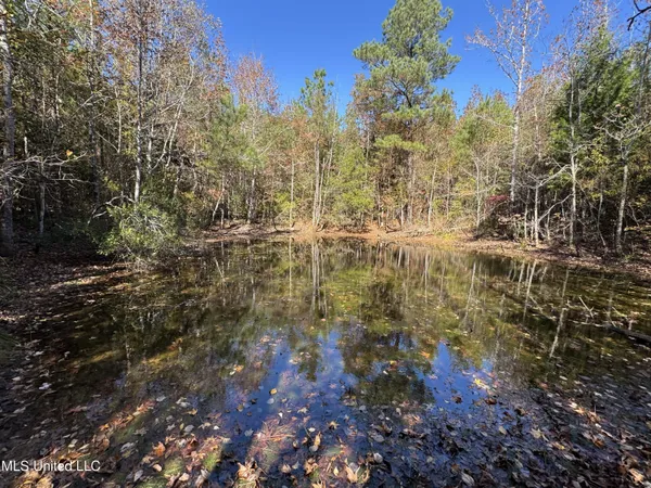 $324,300 | 0 Highway 16 West, De Kalb, MS 39328