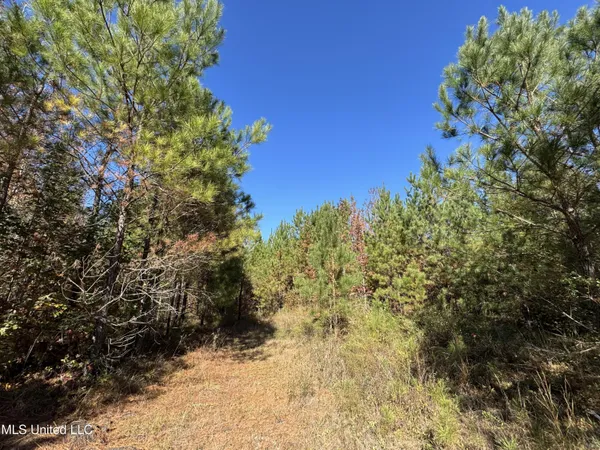 $324,300 | 0 Highway 16 West, De Kalb, MS 39328