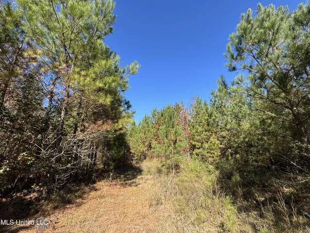 $324,300 | 0 Highway 16 West, De Kalb, MS 39328