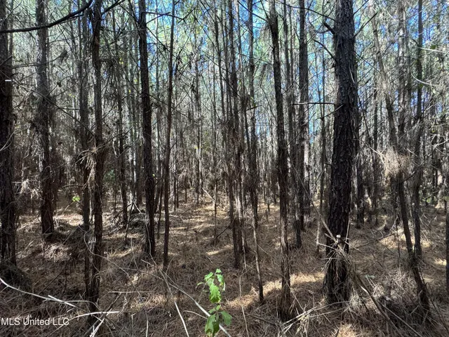 $324,300 | 0 Highway 16 West, De Kalb, MS 39328