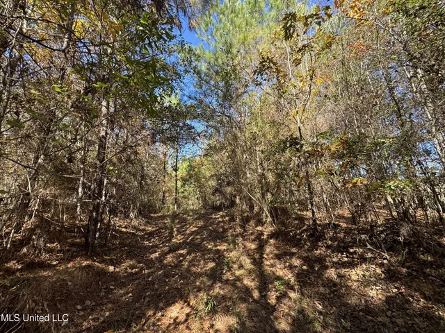 $324,300 | 0 Highway 16 West, De Kalb, MS 39328