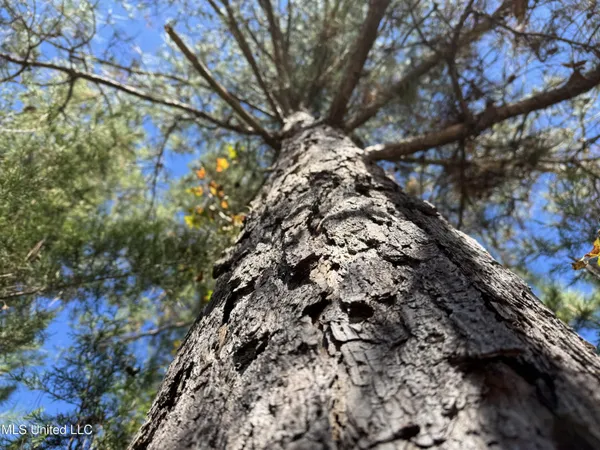 $324,300 | 0 Highway 16 West, De Kalb, MS 39328