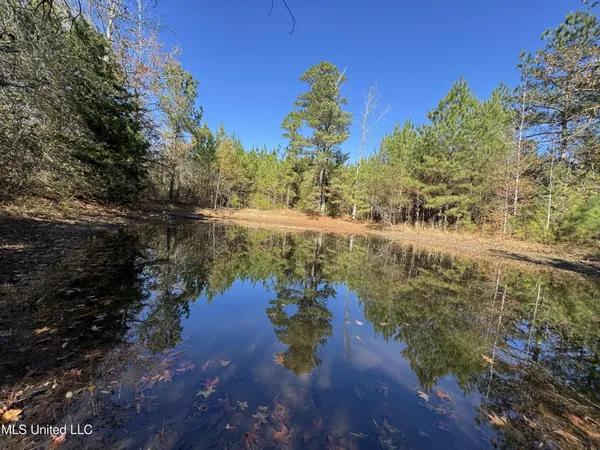 $324,300 | 0 Highway 16 West, De Kalb, MS 39328